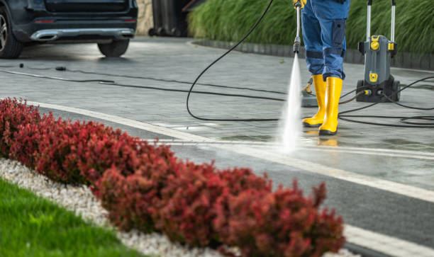 Best Roof Washing  in Belington, WV