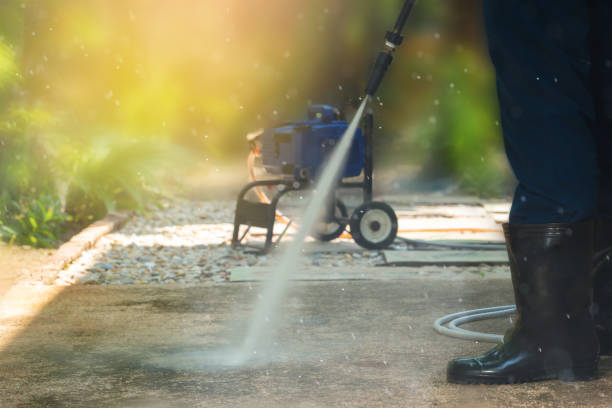 Best Sidewalk and Walkway Cleaning  in Belington, WV